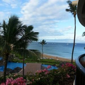 Meet your Posher, Jane